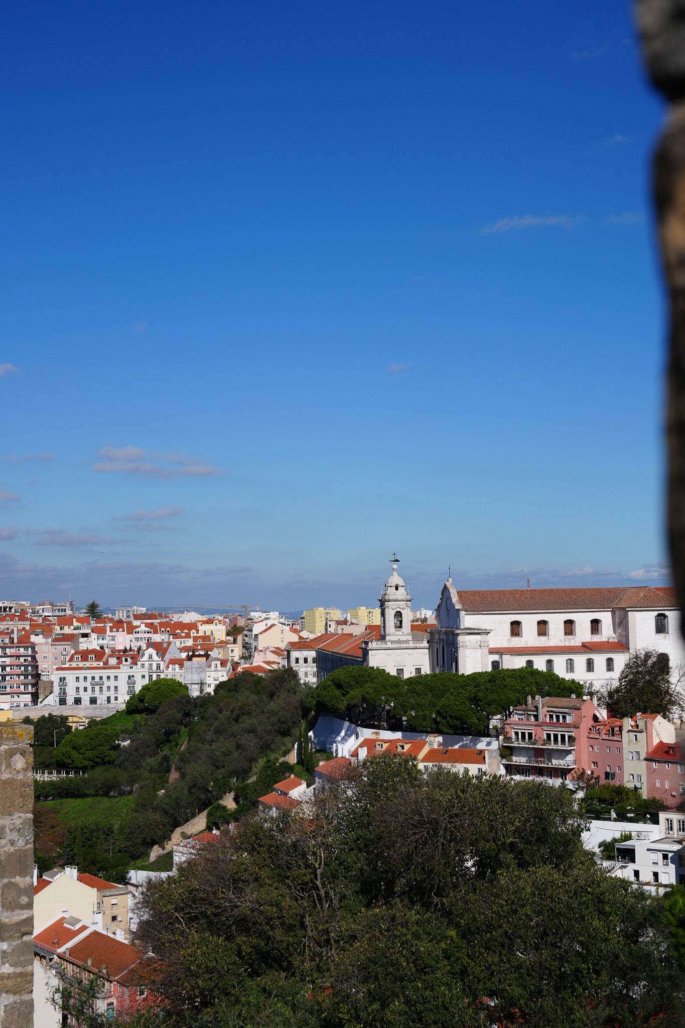 City View Above Trees, Madeira Print